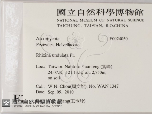 登錄號:F0024050藏品圖，第2張