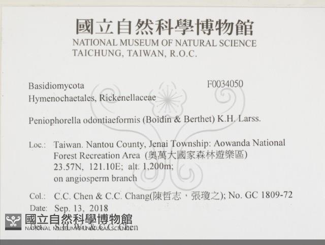 登錄號:F0034050藏品圖，第2張