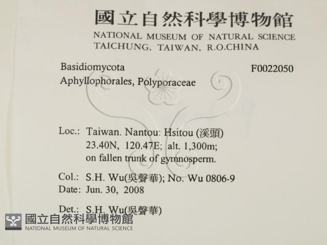登錄號:F0022050藏品圖，第2張