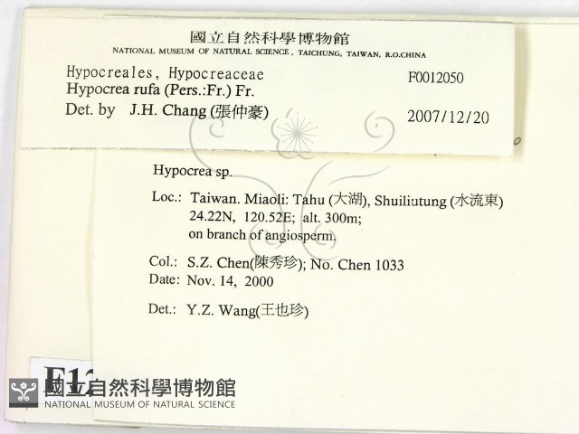 登錄號:F0012050藏品圖，第2張