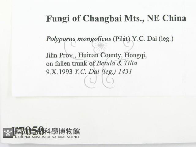 登錄號:F0007050藏品圖，第2張