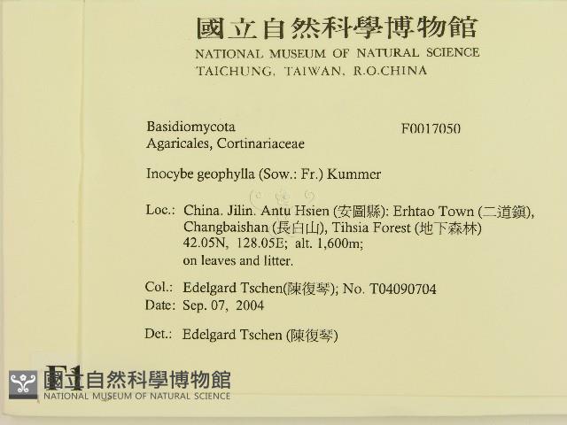 登錄號:F0017050藏品圖，第2張