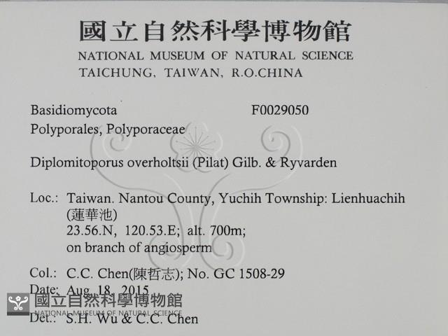 登錄號:F0029050藏品圖，第2張