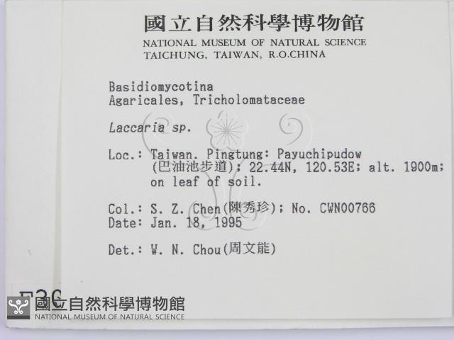 登錄號:F0003050藏品圖，第2張