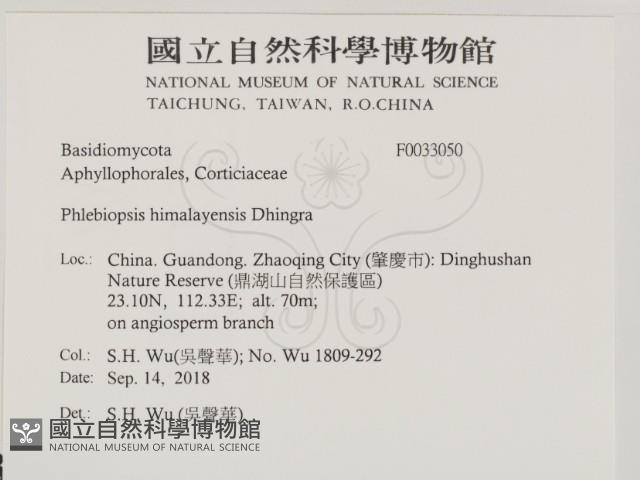 Accession Number:F0033050 Collection Image, Figure 2, Total 2 Figures