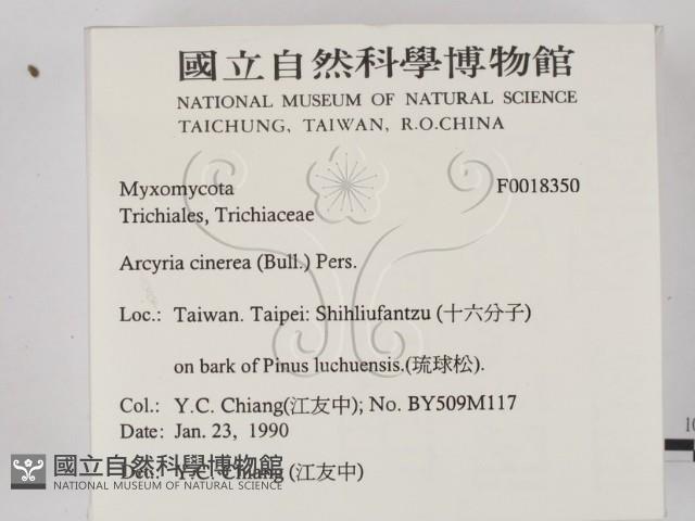 登錄號:F0018350藏品圖，第2張