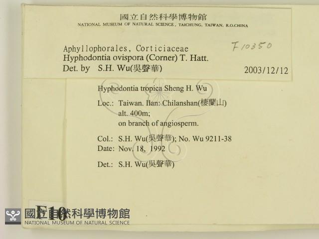 登錄號:F0010350藏品圖，第2張