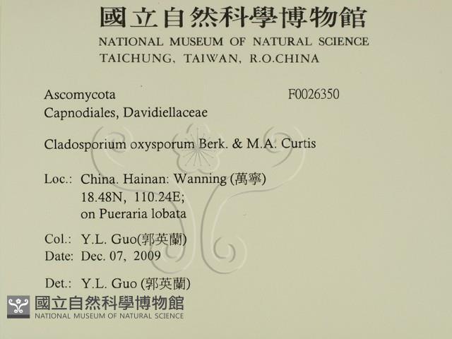 登錄號:F0026350藏品圖，第2張