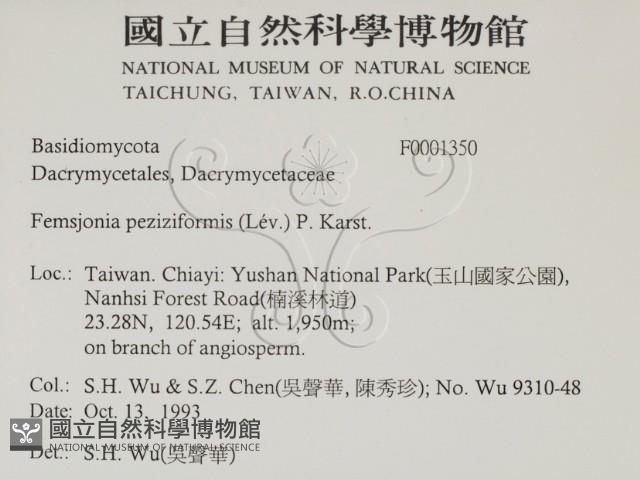 登錄號:F0001350藏品圖，第2張