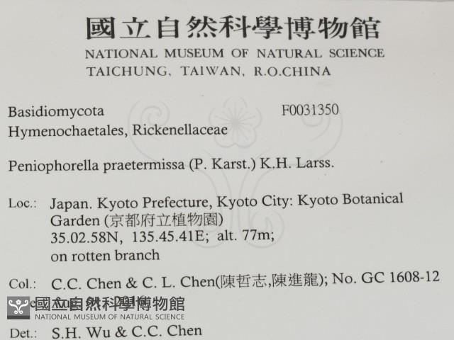 登錄號:F0031350藏品圖，第2張