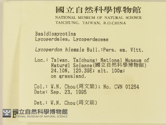 登錄號:F0004350藏品圖，第2張