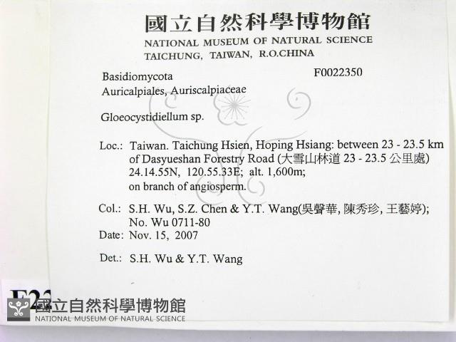 登錄號:F0022350藏品圖，第2張