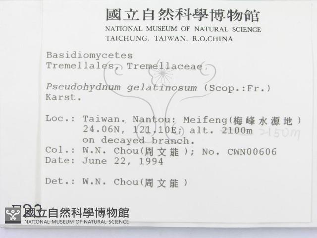 登錄號:F0002350藏品圖，第2張