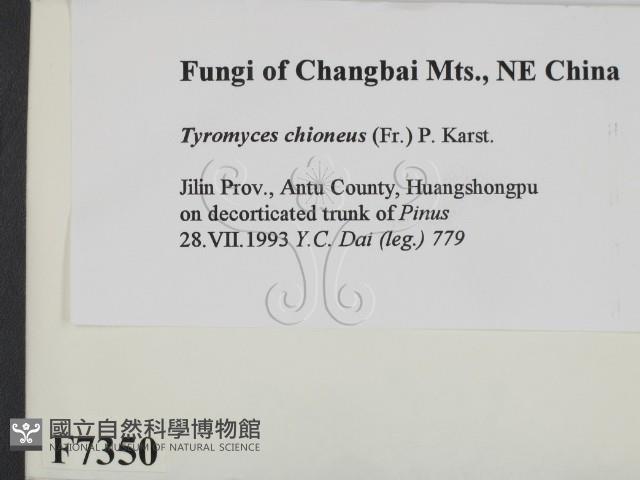 登錄號:F0007350藏品圖，第2張