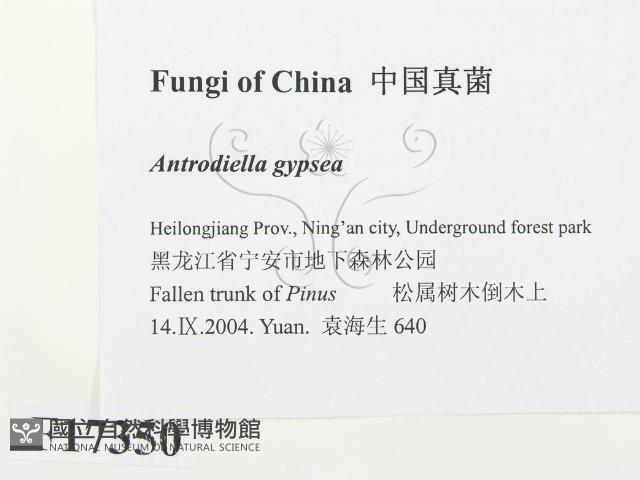 登錄號:F0017350藏品圖，第2張