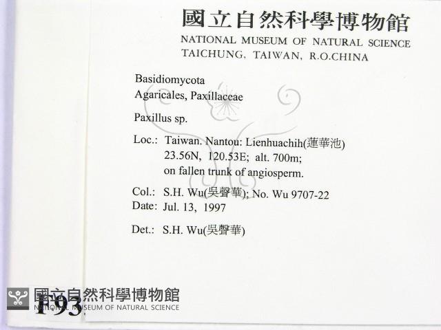 登錄號:F0009350藏品圖，第2張