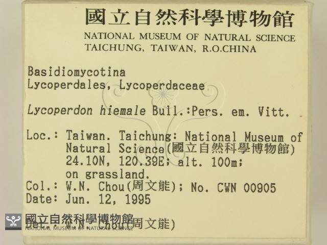 登錄號:F0003350藏品圖，第2張