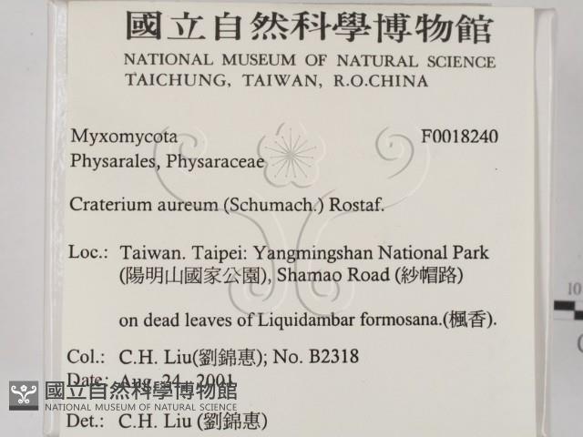 登錄號:F0018240藏品圖，第2張