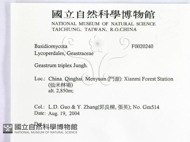 登錄號:F0020240藏品圖，第2張