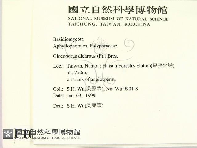 登錄號:F0010240藏品圖，第2張