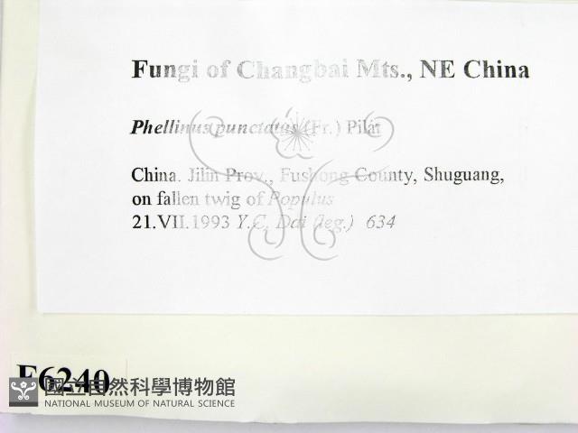 登錄號:F0006240藏品圖，第2張