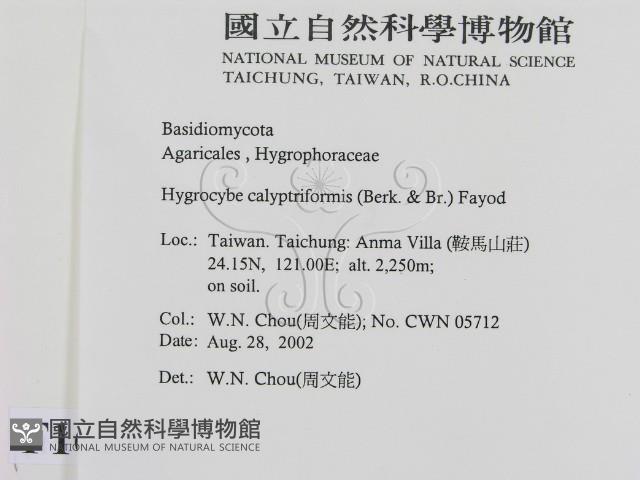登錄號:F0016240藏品圖，第2張