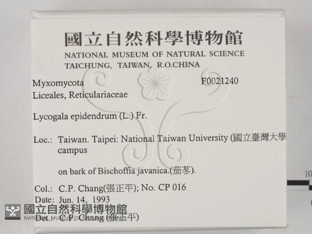 登錄號:F0021240藏品圖，第2張
