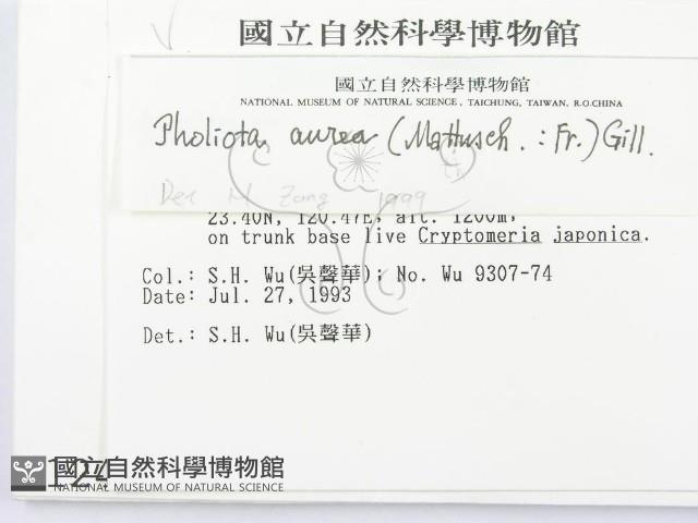 登錄號:F0001240藏品圖，第2張