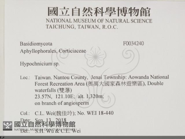 登錄號:F0034240藏品圖，第2張