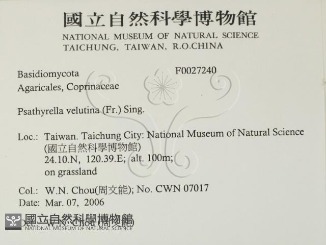 登錄號:F0027240藏品圖，第2張