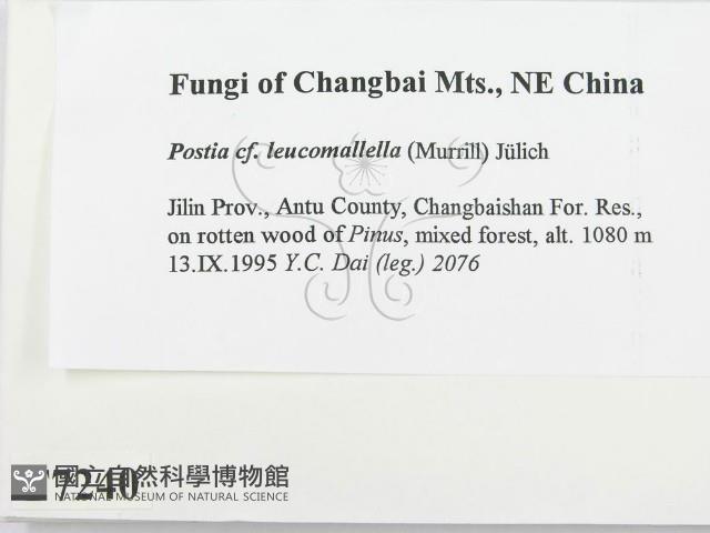 登錄號:F0007240藏品圖，第2張