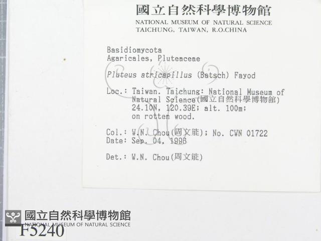 登錄號:F0005240藏品圖，第2張