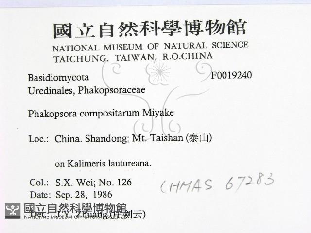 登錄號:F0019240藏品圖，第2張