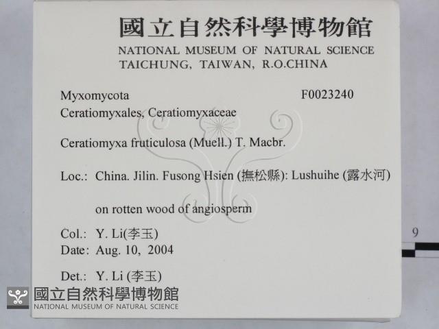 登錄號:F0023240藏品圖，第2張