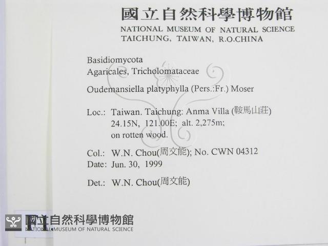 登錄號:F0013240藏品圖，第2張