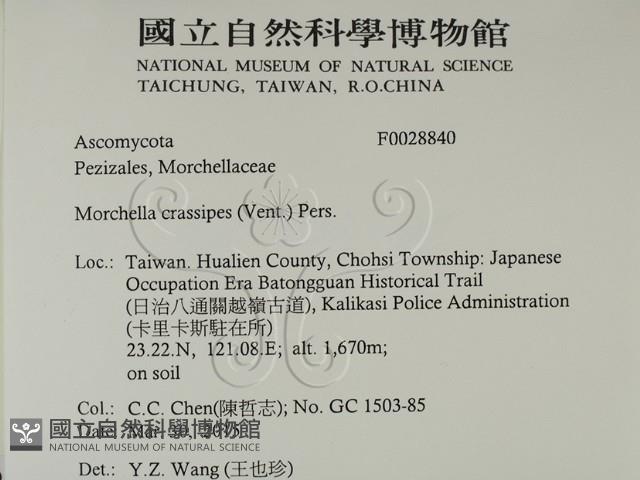 登錄號:F0028840藏品圖，第2張