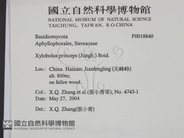 登錄號:F0018840藏品圖，第2張
