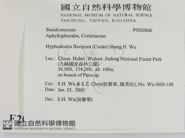 登錄號:F0020840藏品圖，第2張