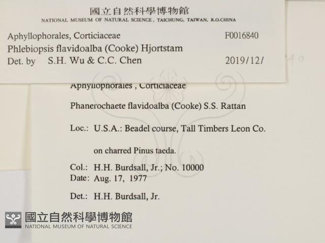 登錄號:F0016840藏品圖，第2張