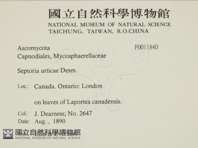 登錄號:F0011840藏品圖，第2張