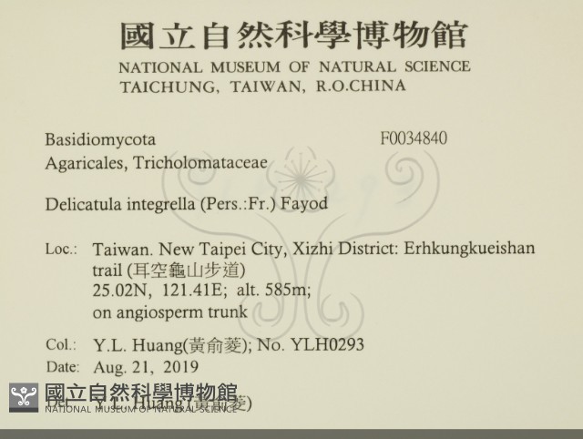 登錄號:F0034840藏品圖，第2張