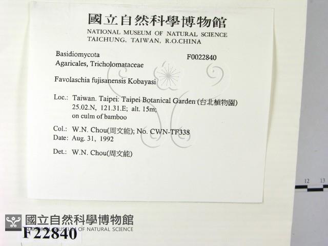 登錄號:F0022840藏品圖，第2張