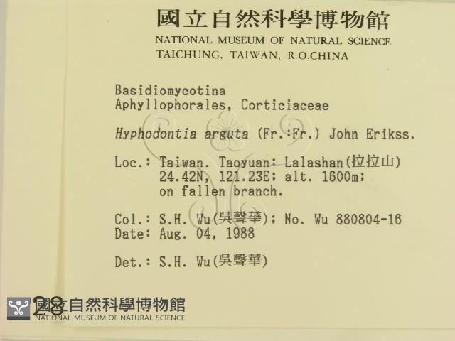 登錄號:F0002840藏品圖，第2張