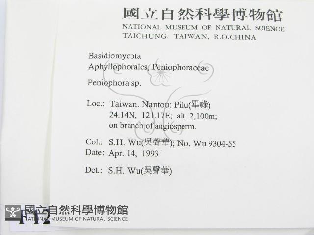 筍殼菌屬藏品圖，第2張