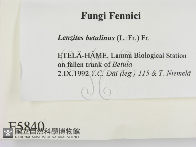 登錄號:F0005840藏品圖，第2張