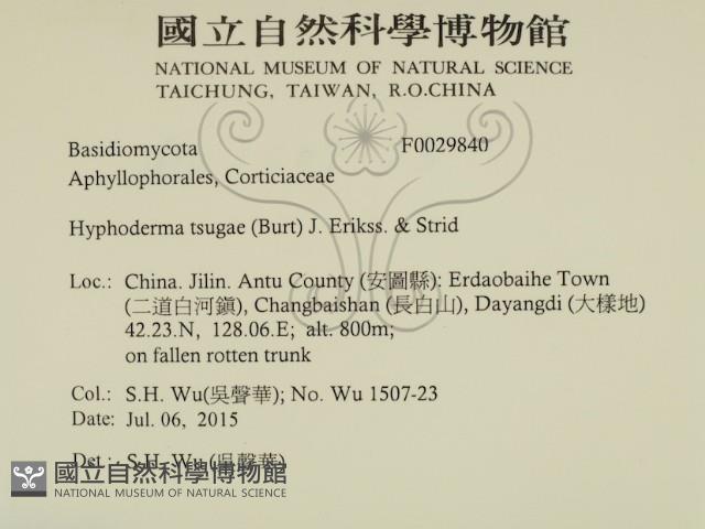 登錄號:F0029840藏品圖，第2張