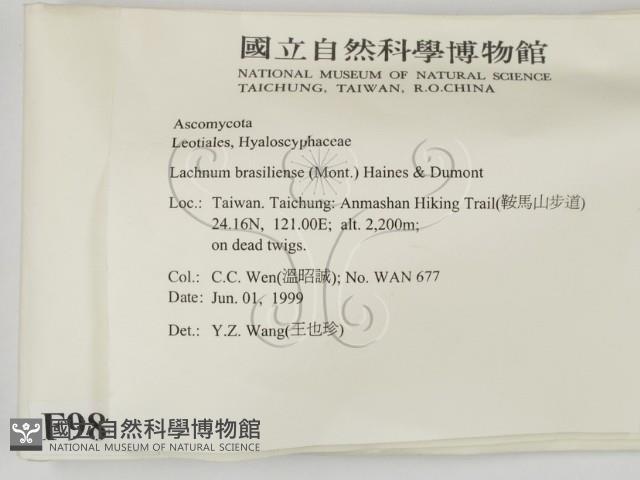 登錄號:F0009840藏品圖，第2張