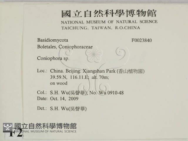 登錄號:F0023840藏品圖，第2張