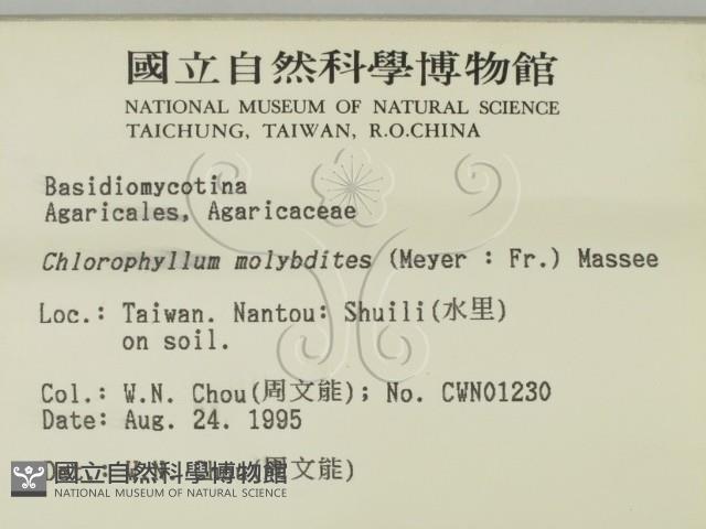 登錄號:F0003840藏品圖，第2張