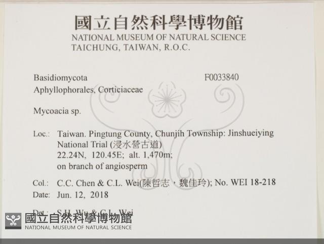 登錄號:F0033840藏品圖，第2張